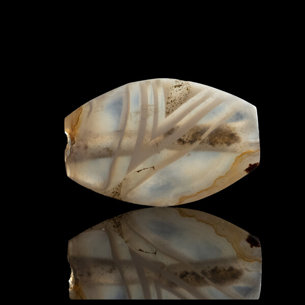 Immagine aggiuntiva 4