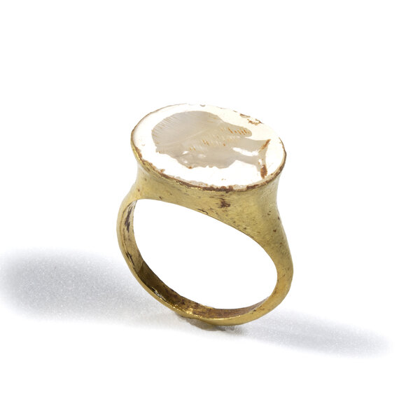 Immagine aggiuntiva 1