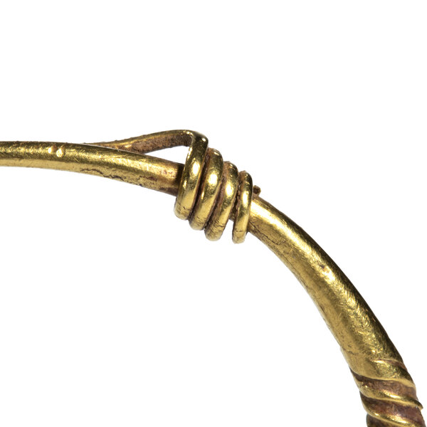 Immagine aggiuntiva 1