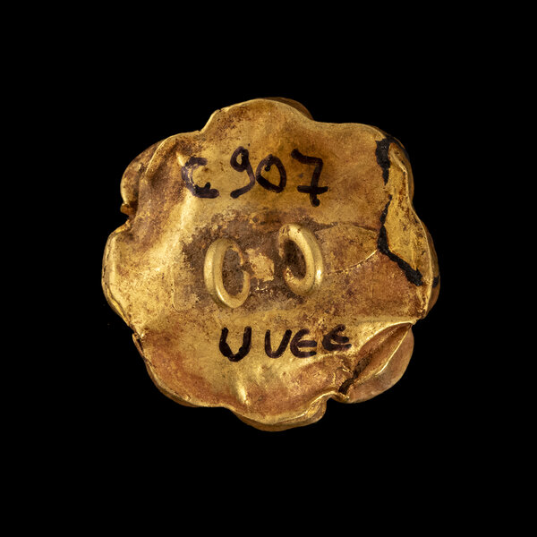 Immagine aggiuntiva 1