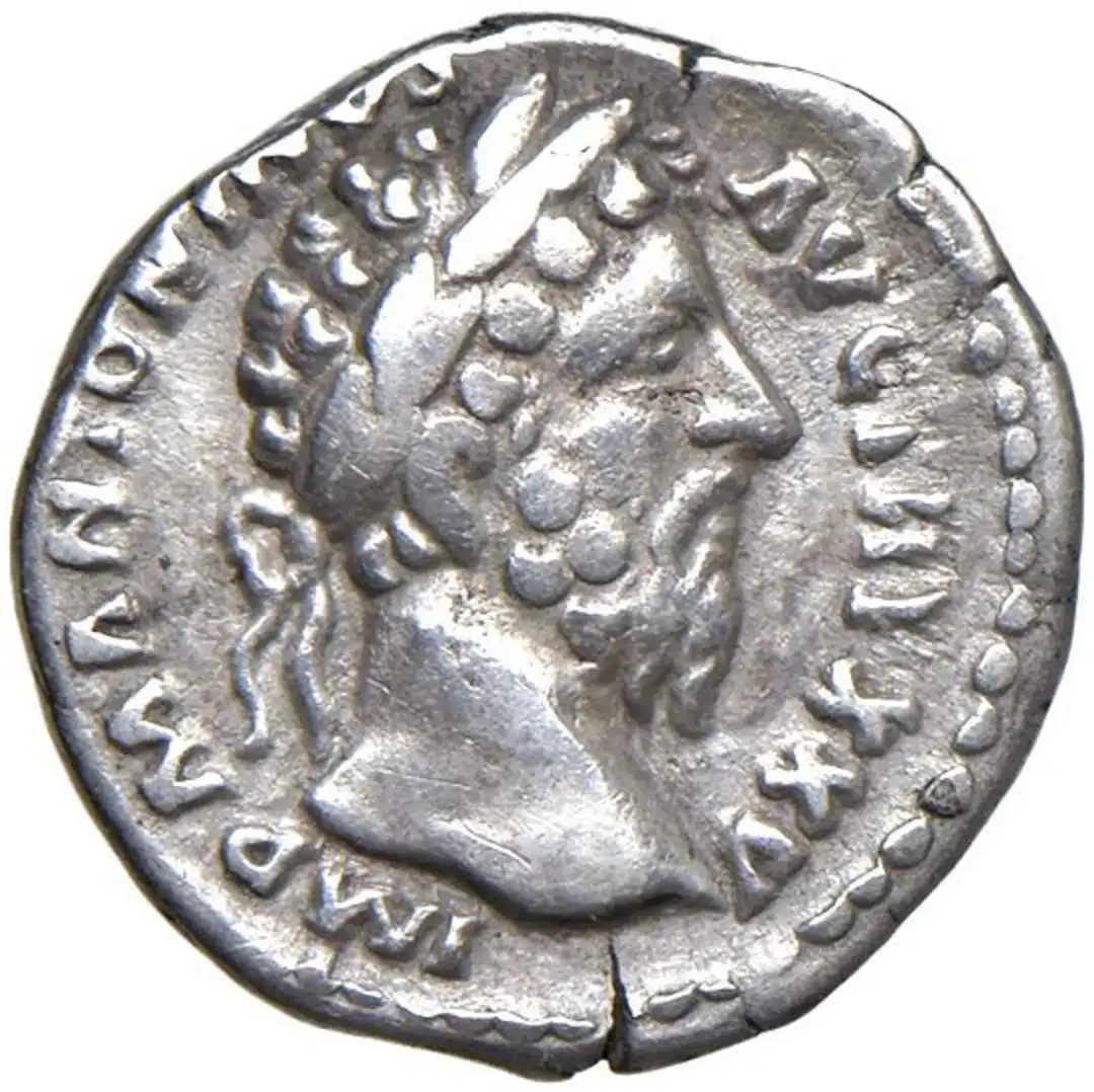 Dritto moneta