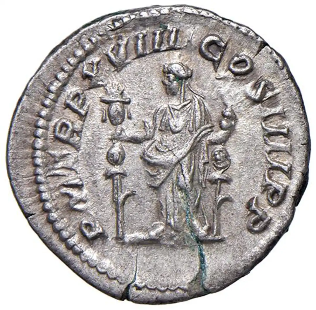 Rovescio moneta