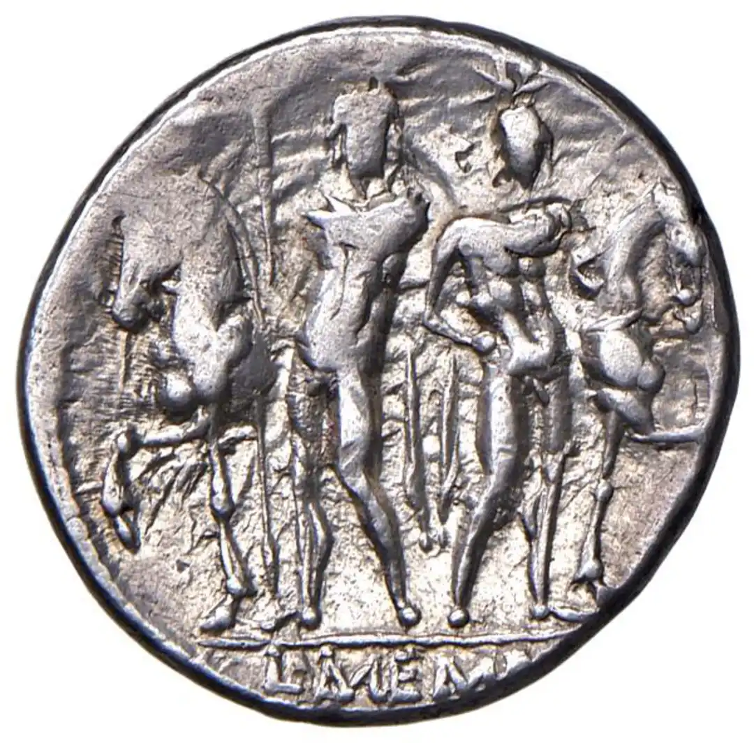 Rovescio moneta