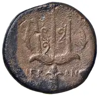 Reverse image