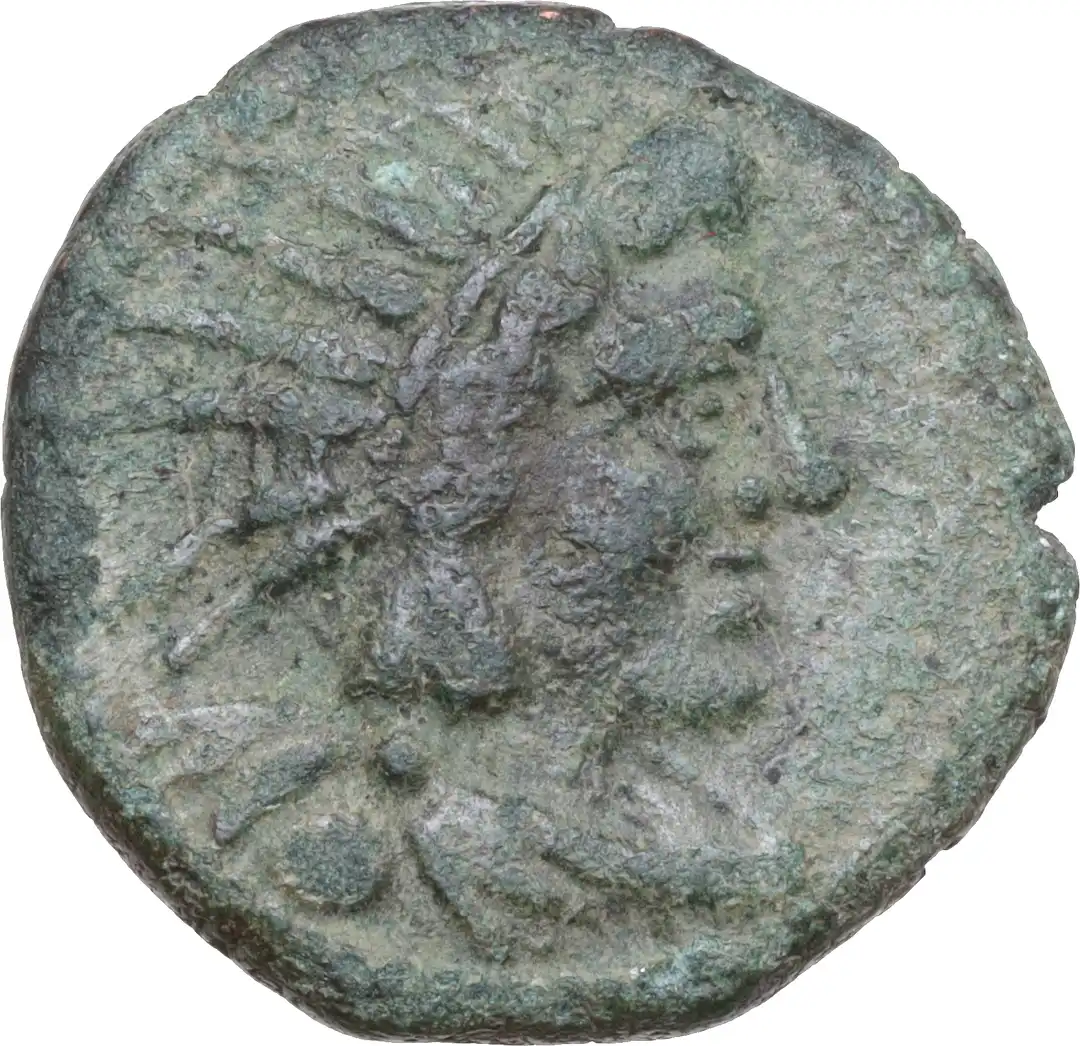 Dritto moneta