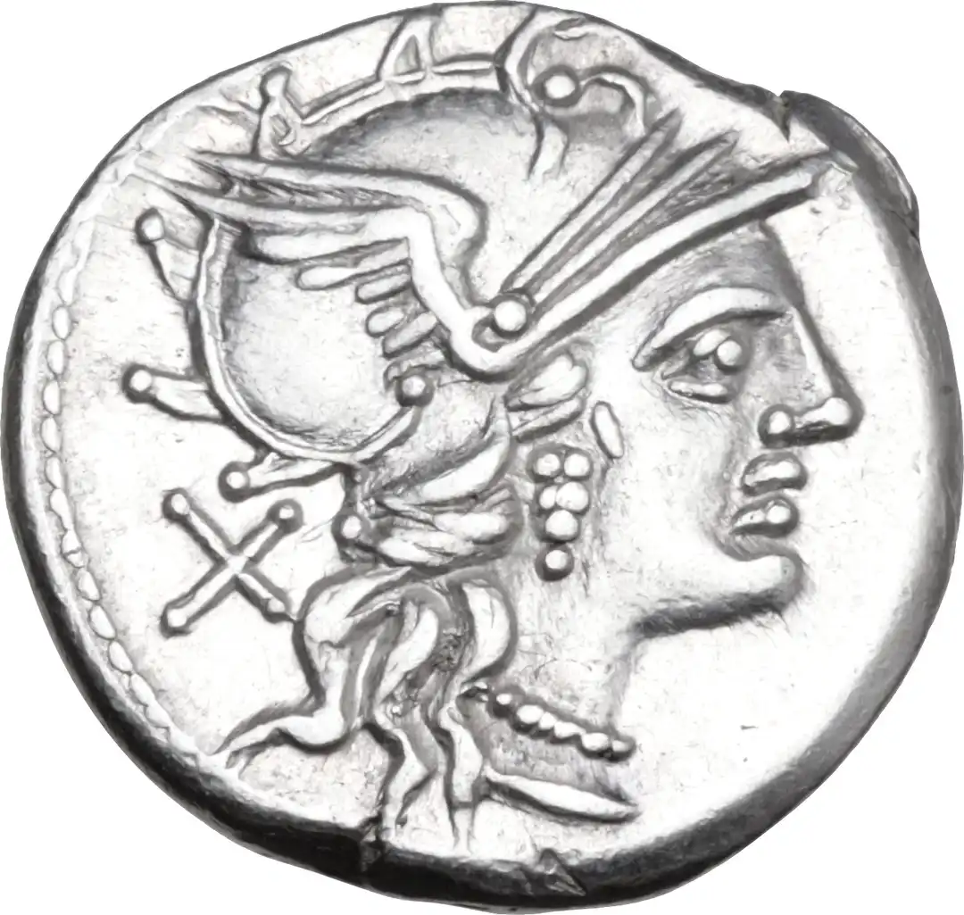 Dritto moneta