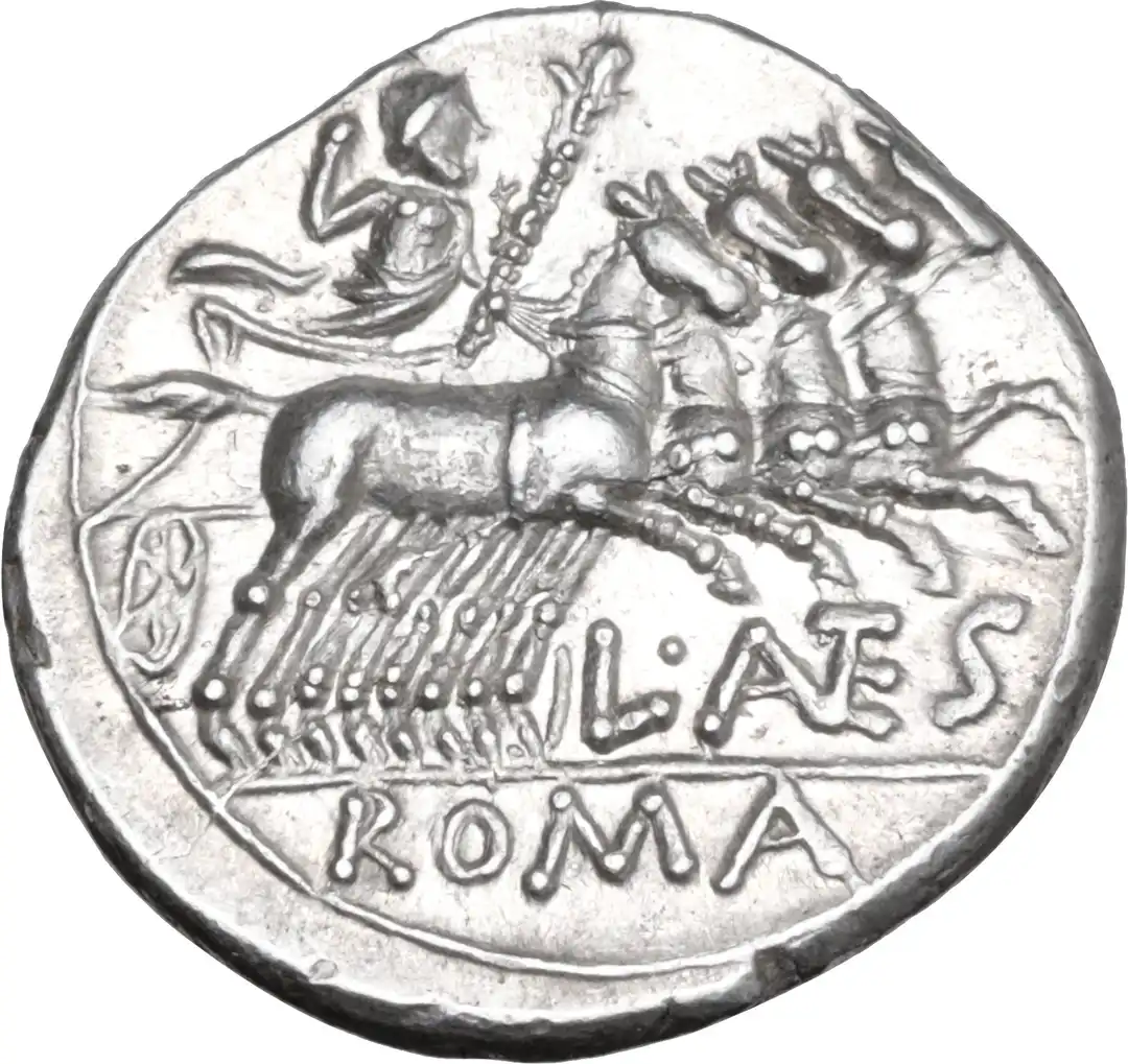 Rovescio moneta