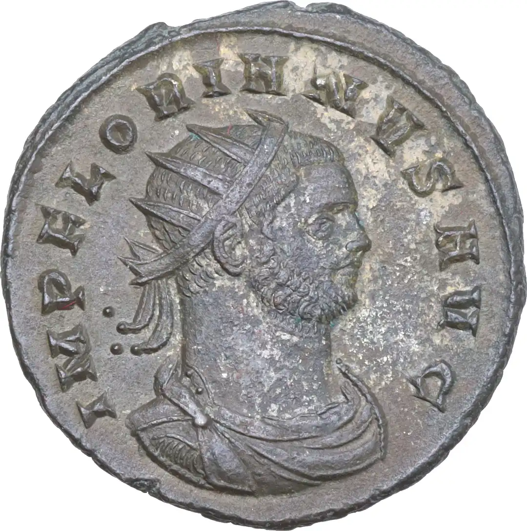 Dritto moneta