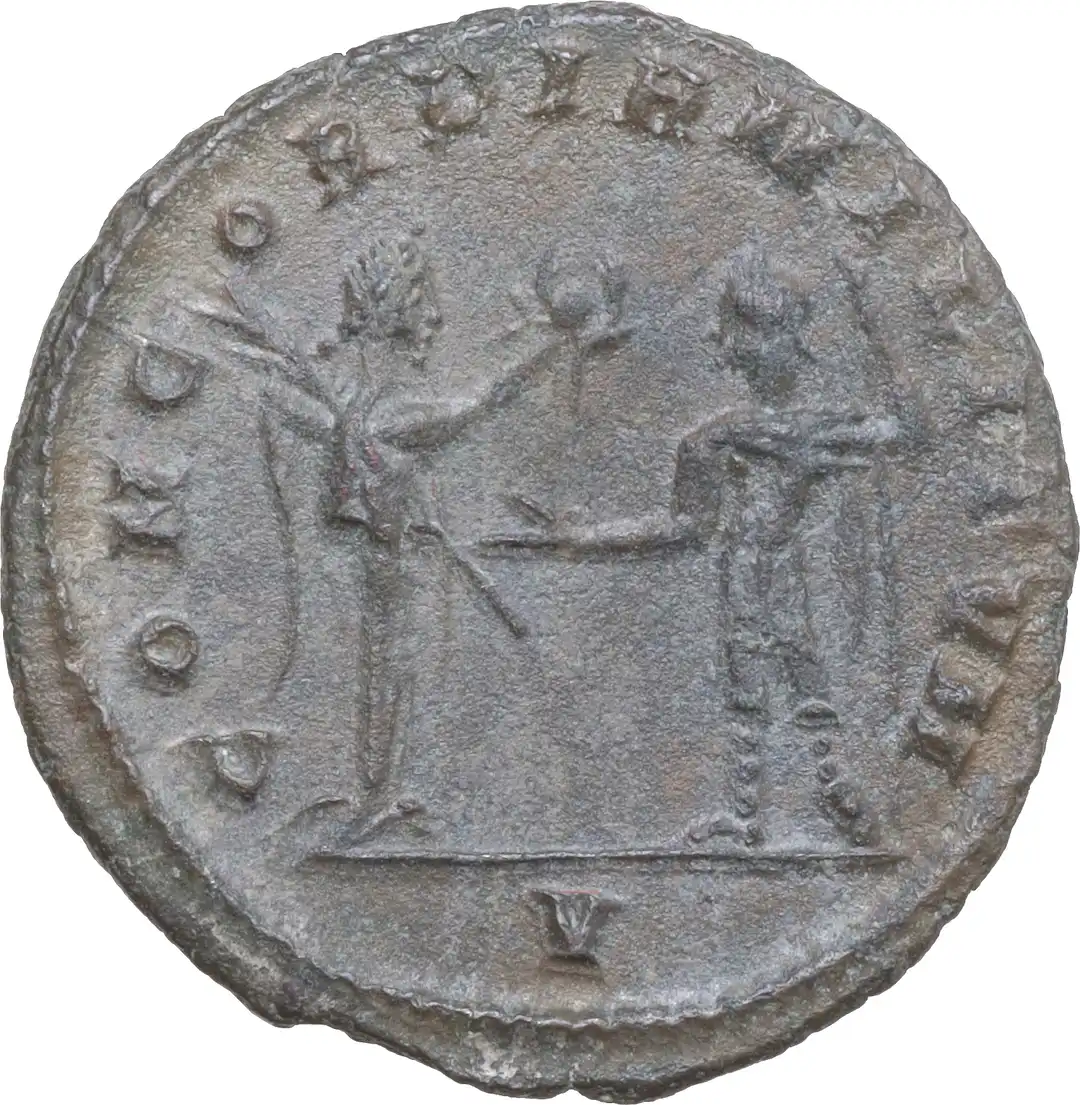 Rovescio moneta