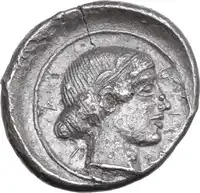 Reverse image