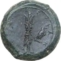 Reverse image