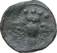 Reverse image