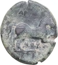 Reverse image