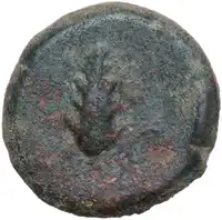 Reverse image