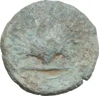 Reverse image