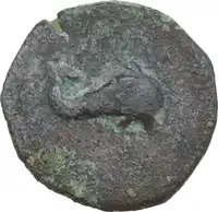 Reverse image
