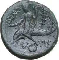 Reverse image