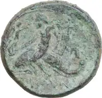 Reverse image