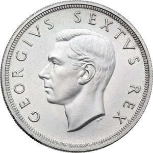 lot 1111
