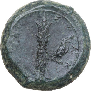 Reverse image