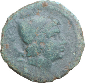 lot 19