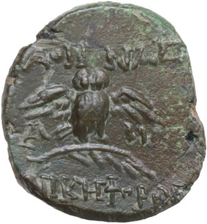 Reverse image