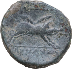 Reverse image