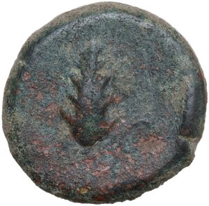 Reverse image