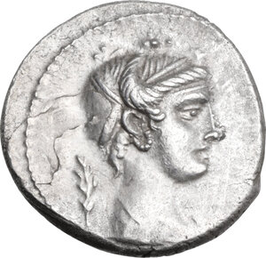 lot 397
