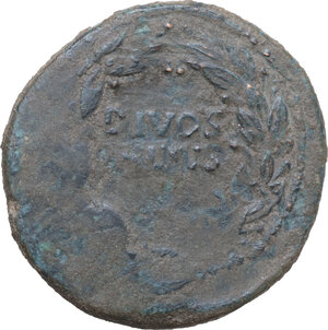 lot 427