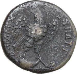 lot 491