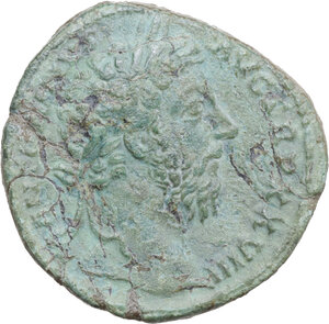 lot 505