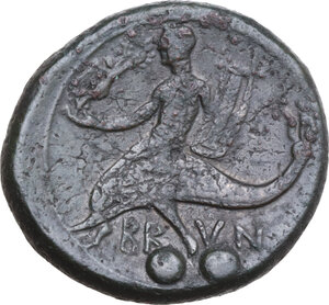 Reverse image