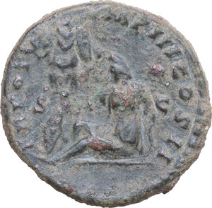 lot 513