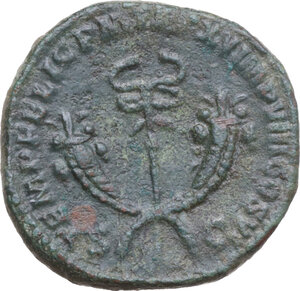 lot 516