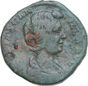 lot 519