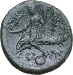 Reverse image