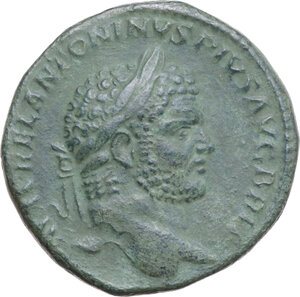 lot 526