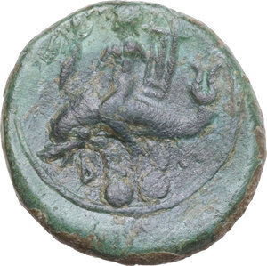 Reverse image