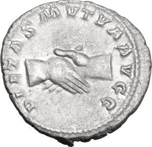 lot 546