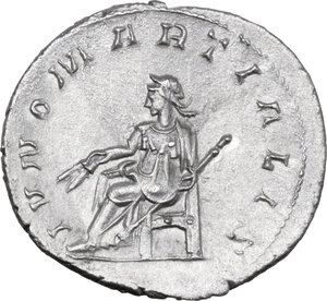 lot 569