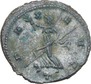 lot 579