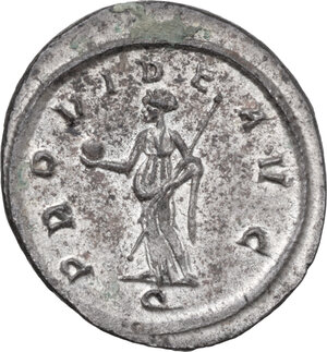lot 585