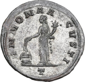 lot 586