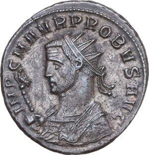lot 593
