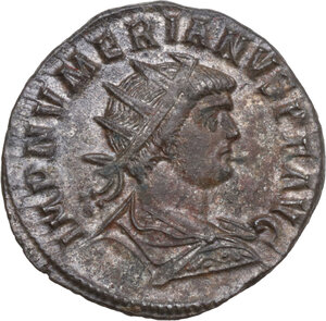lot 595