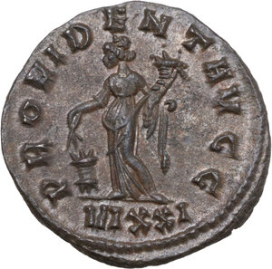 lot 595