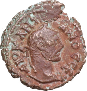 lot 597
