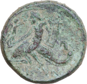 Reverse image