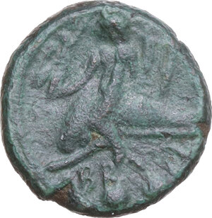 Reverse image